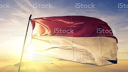 Flagge Salzburg