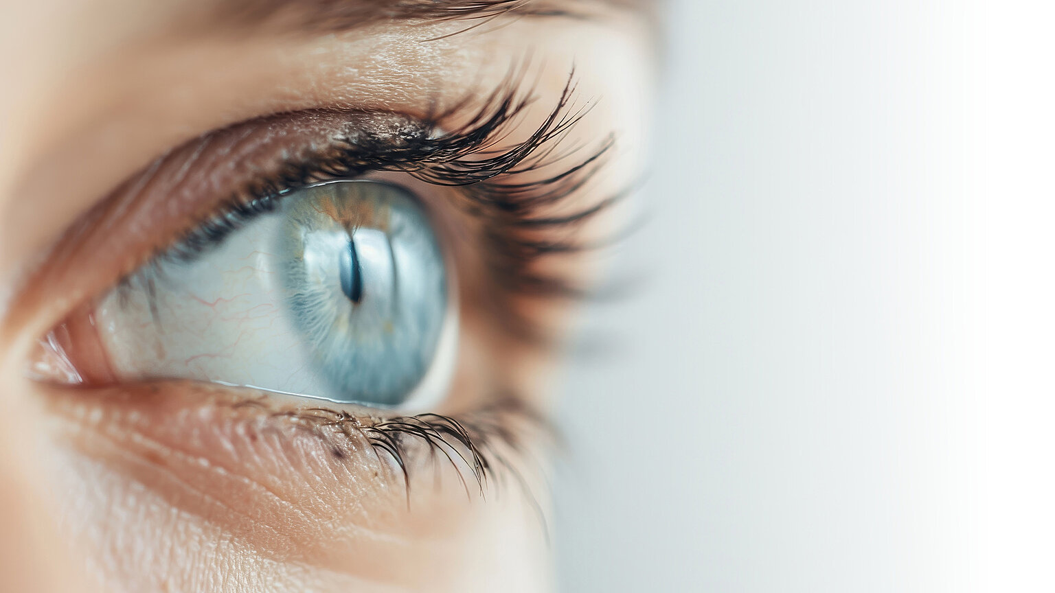 Detailaufnahme eines blauen Auges